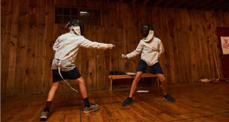 fencing