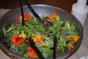 Salad at Camp Mowglis