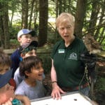 An animal visitor at Camp Mowglis