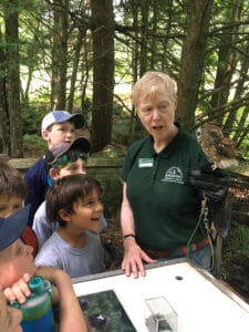 An animal visitor at Camp Mowglis