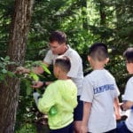 Seeing some of our local trees