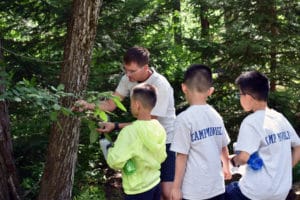 Seeing some of our local trees