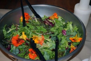 Fresh salad at Camp Mowglis