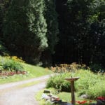 A hiking trail at Camp Mowglis