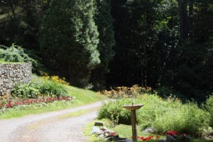 A hiking trail at Camp Mowglis