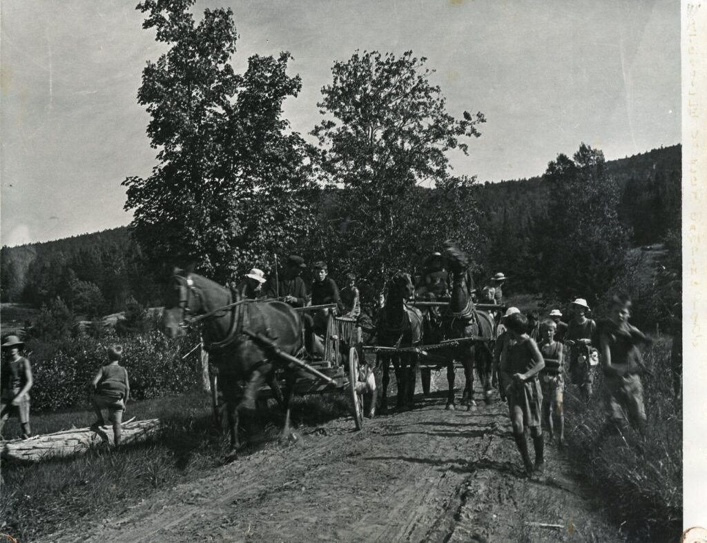 Horse Drawn Wagon